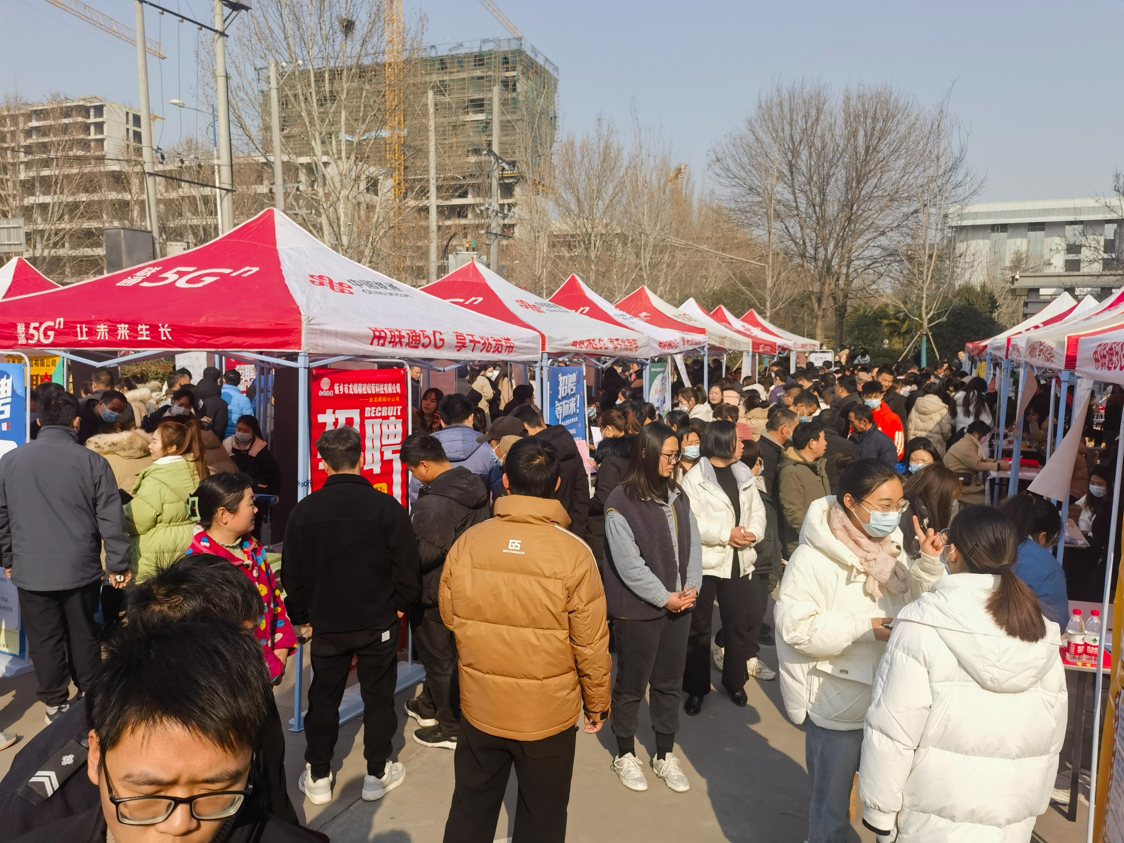 原阳招聘最新动态，职业发展的机遇与挑战解析
