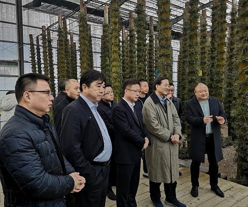 刘士余最新动态，展现新风貌，引领时代潮流