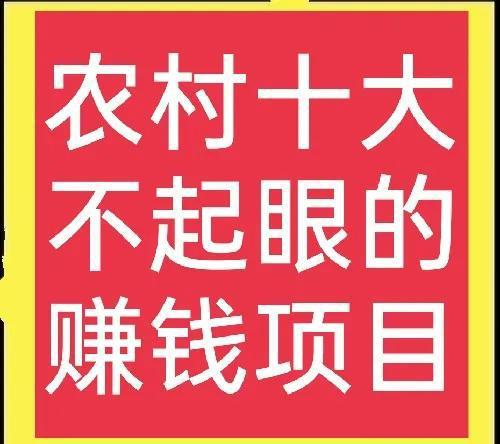 探索未来财富新领域，最新赚钱好项目大盘点！