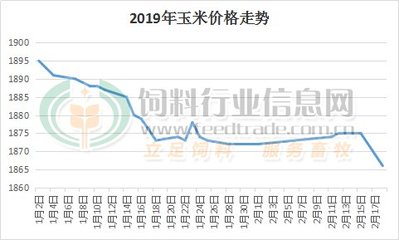 山东菏泽玉米最新价格揭秘，市场趋势与农民心声深度剖析