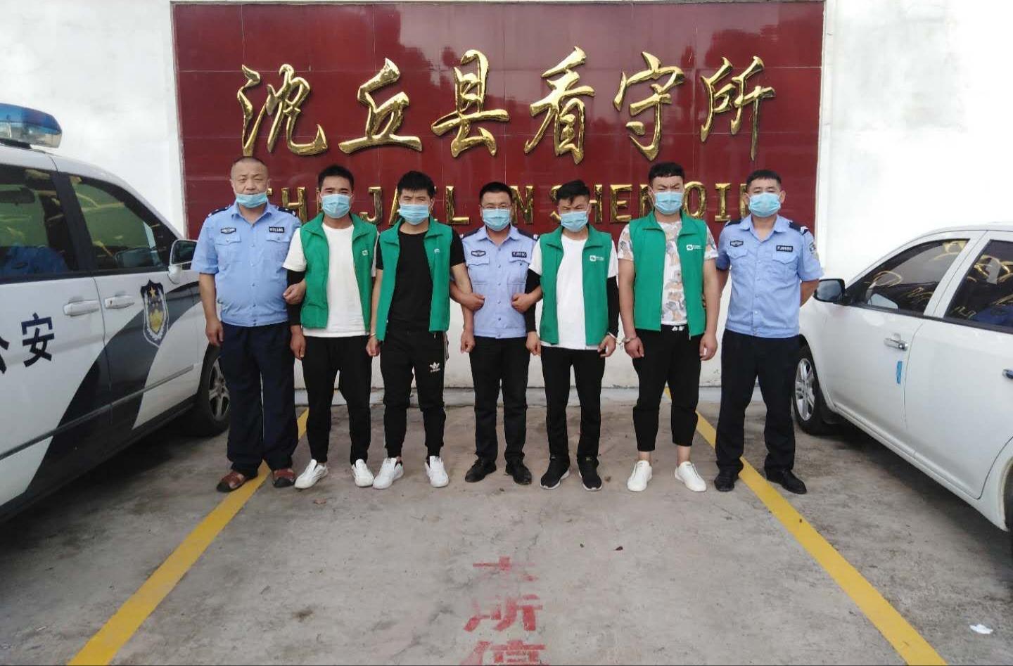 最新手机迅雷，速度与便捷性的极致融合