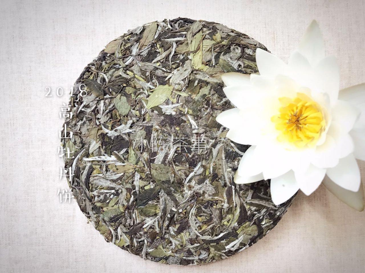 探索水仙最新魅力，自然之美与艺术之韵的融合
