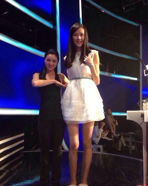 非诚勿扰女嘉宾最新风采，现代女性的独立与魅力闪耀