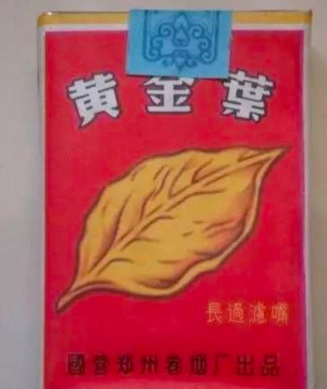 自然之美与艺术之韵的完美结合，最新黄金叶赏析