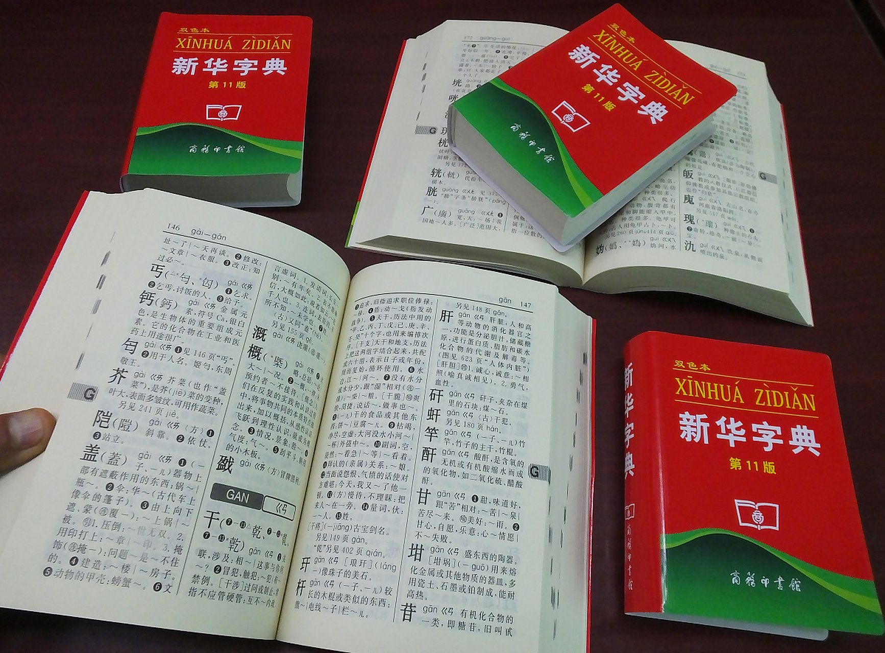 新华字典最新版探索之旅，不断进化的语言宝库
