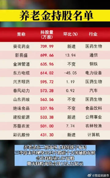 养老金最新持股动向揭秘，探寻未来投资领域，共创美好退休规划之路
