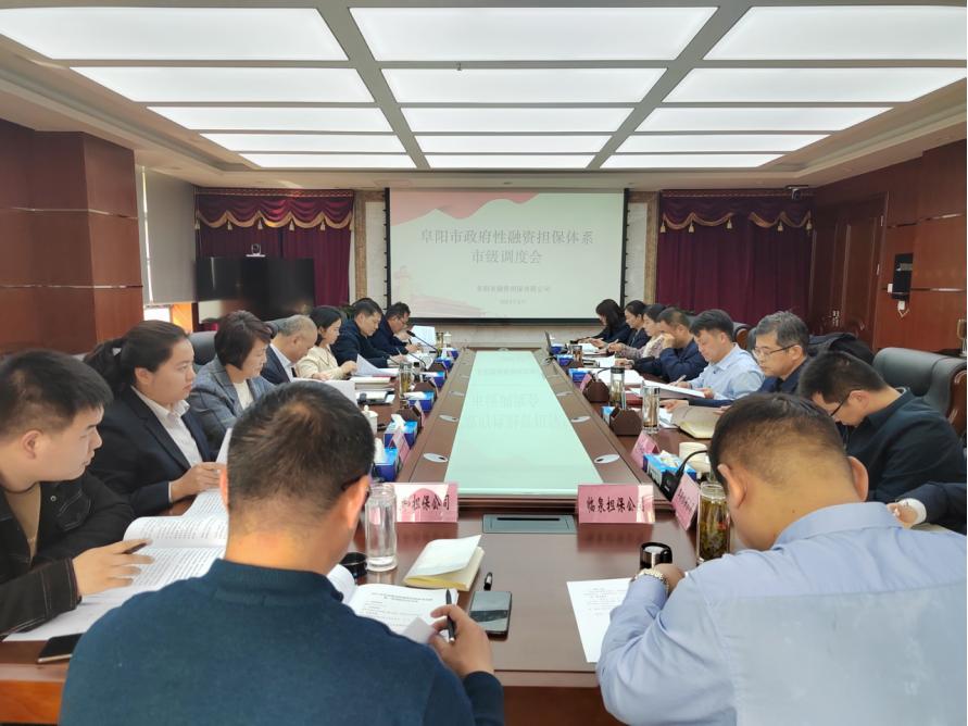 担保公司最新动态与行业变革及发展趋势概览