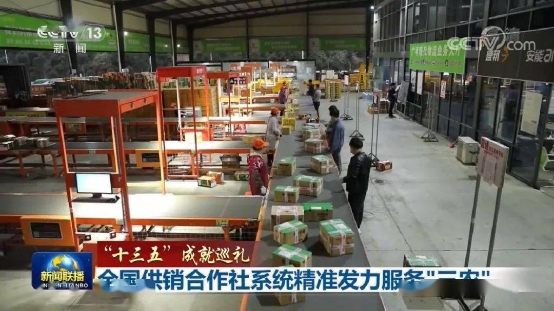 快递行业革新、挑战与未来展望的最新动态分析
