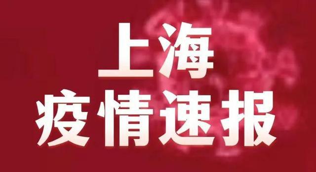 科技、环境与人文的新篇章，社会最新消息速递