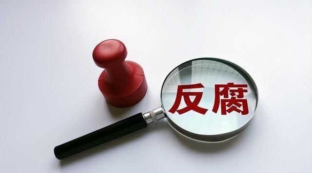 中纪委反腐最新动态，坚定步伐重塑信任与希望