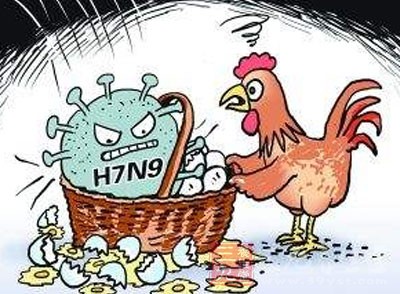 禽流感H7N9最新动态，科学应对，共克时艰