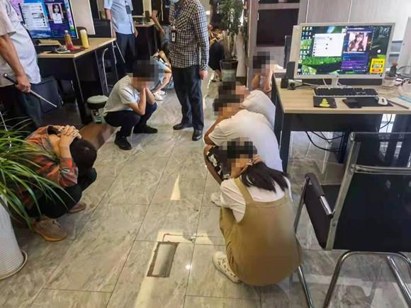 有鸟直播最新观察与体验，独特的直播视角带来全新感受