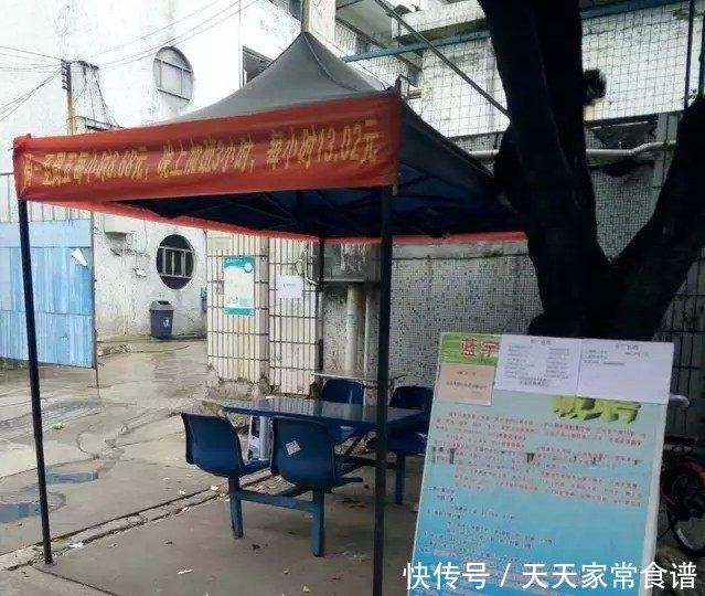 厚街电子厂最新招聘启事，探寻职业发展的未来之路