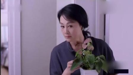 透明LED显示屏 第49页