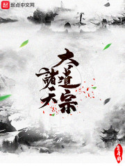 最新章节的魅力，一场文字的冒险之旅