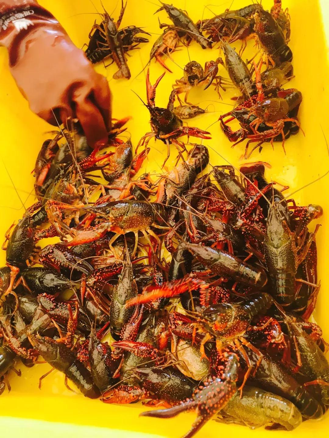 威海市展现新风貌，活力之城开启新篇章