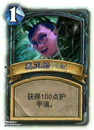 狗贼最新揭秘，背后的故事与情感共鸣深度探讨