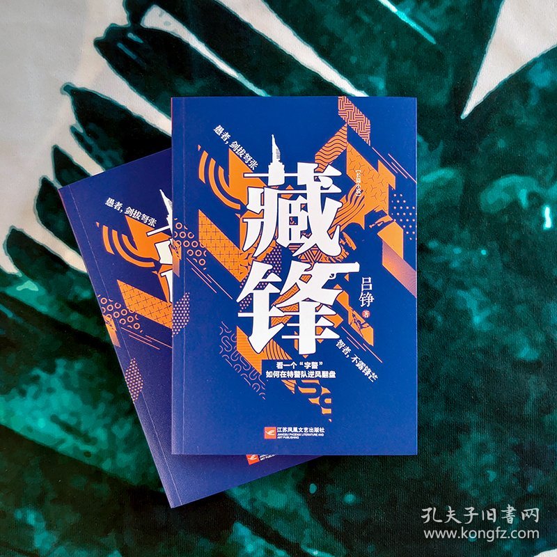 藏锋最新章节揭秘，剑走偏锋，锋芒初露
