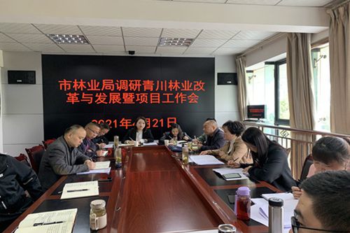 林业局改革新篇章，创新、绿色与发展的交响乐章