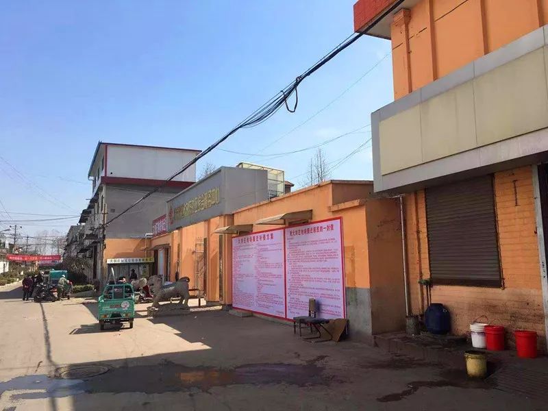 新沂市最新动态，城市脉搏的跃动与未来展望