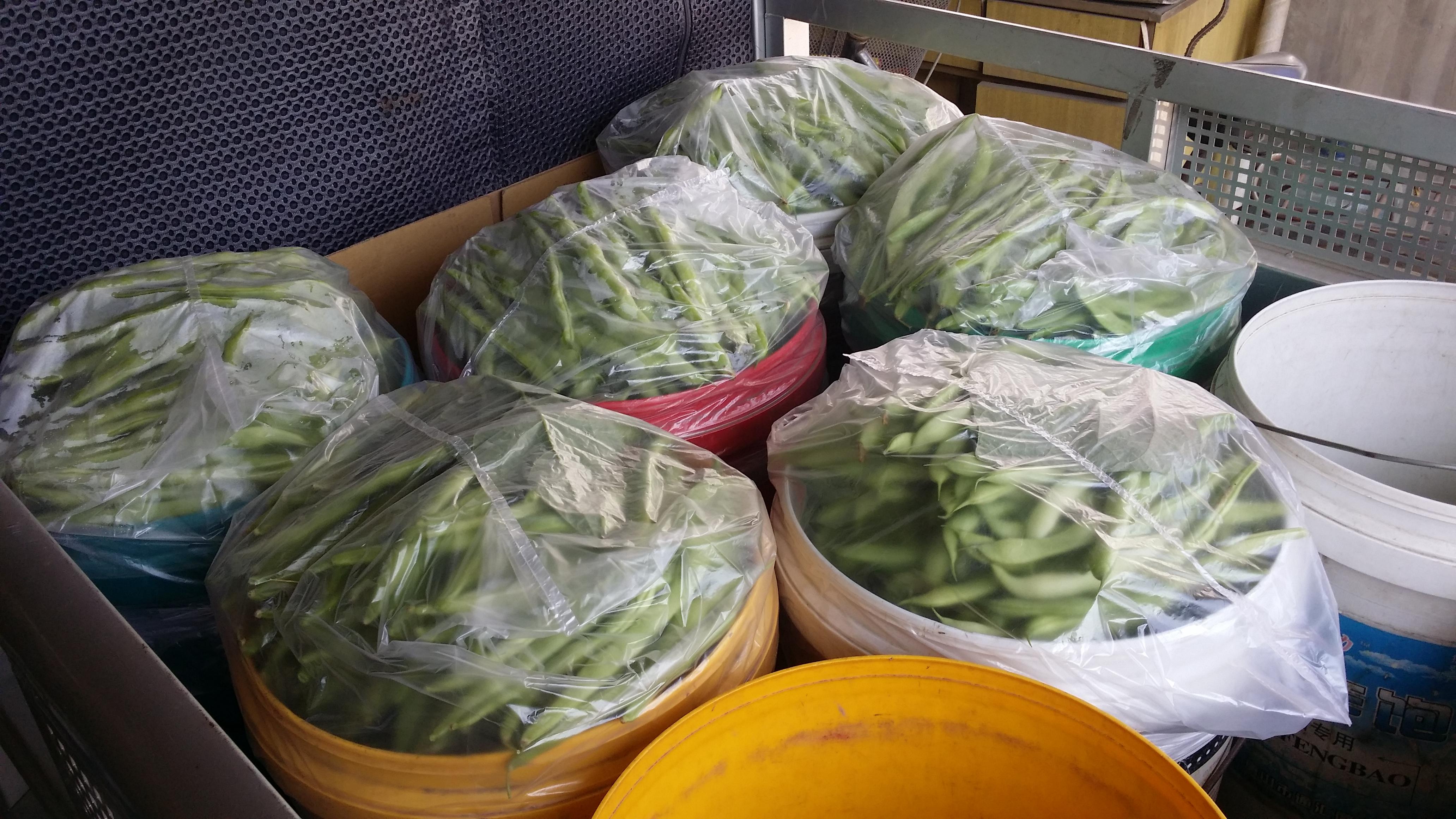 今日豆角价格行情及市场波动下的蔬菜价格走势分析