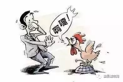 禽流感的最新动态，全球关注下的防控挑战与进展