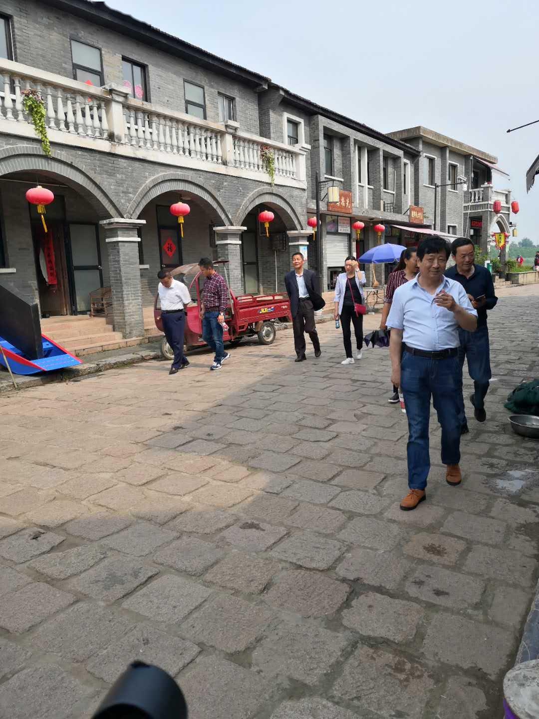 老洲镇活力四溢的变革与发展最新消息揭秘