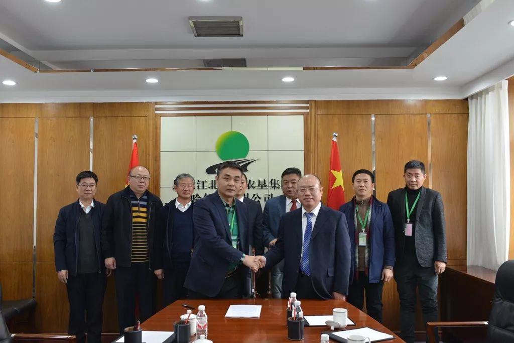 探索未知生命奇迹，最新生物研究揭秘生命新奥秘